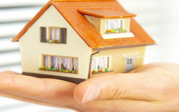 Wiregrass PROPERTY SEARCH